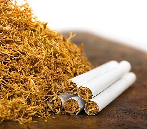 Havana 608 Tobacco Plant Seeds