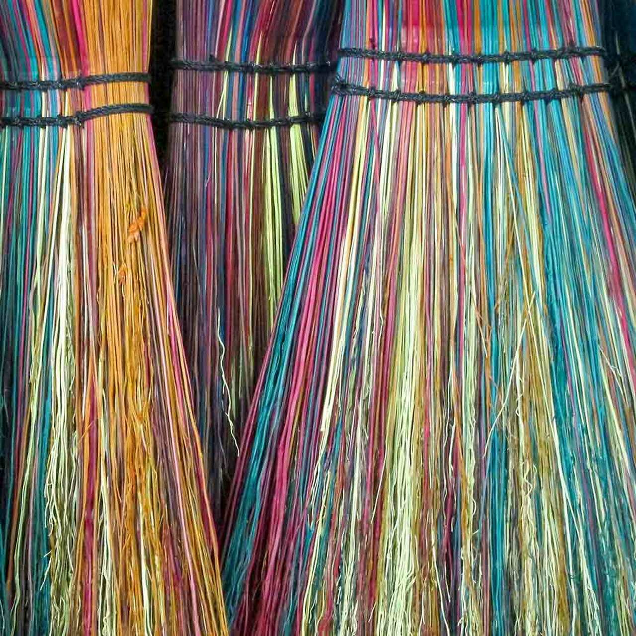 Organic Rainbow Broom Corn Grass Seeds