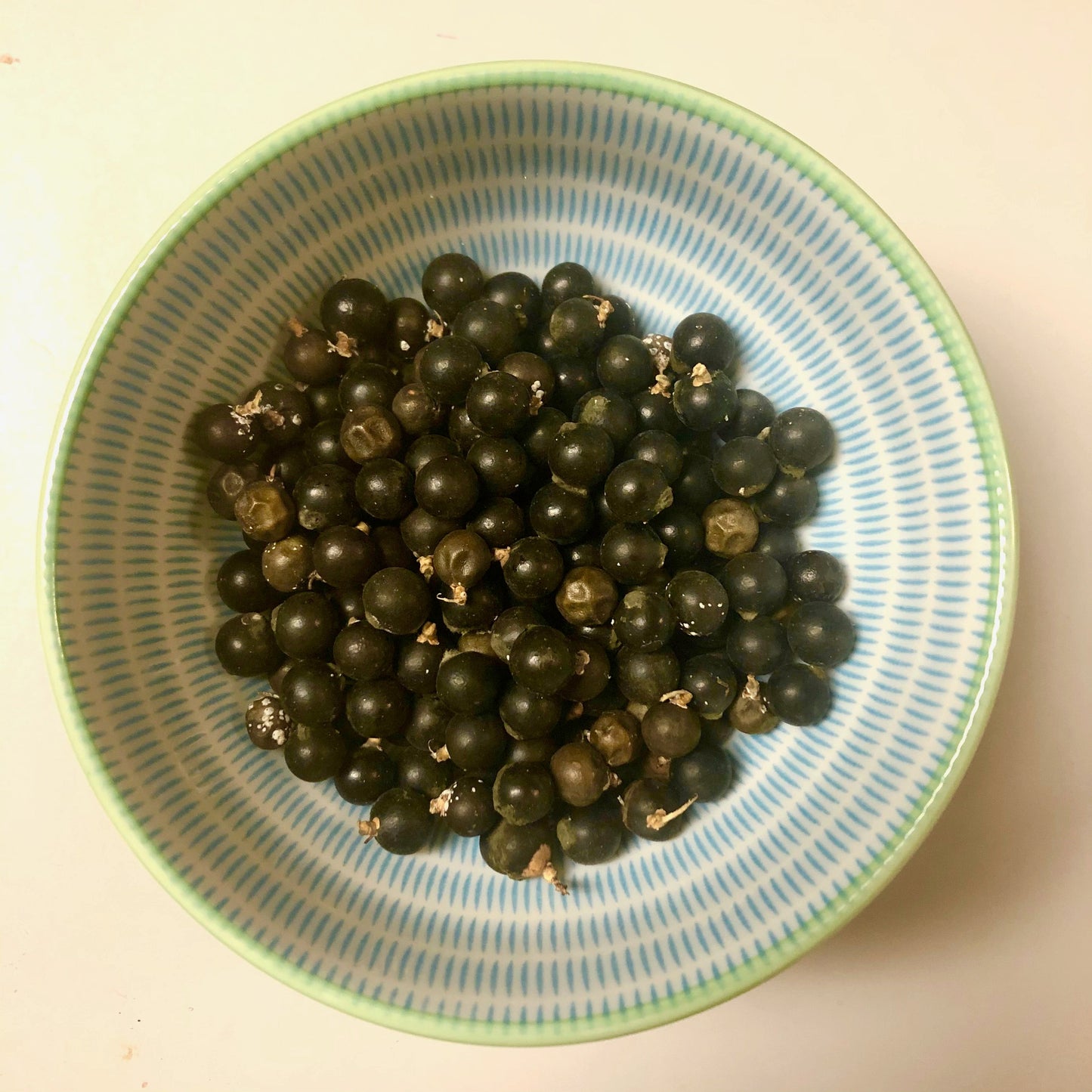 European Fan Palm Tree Seeds