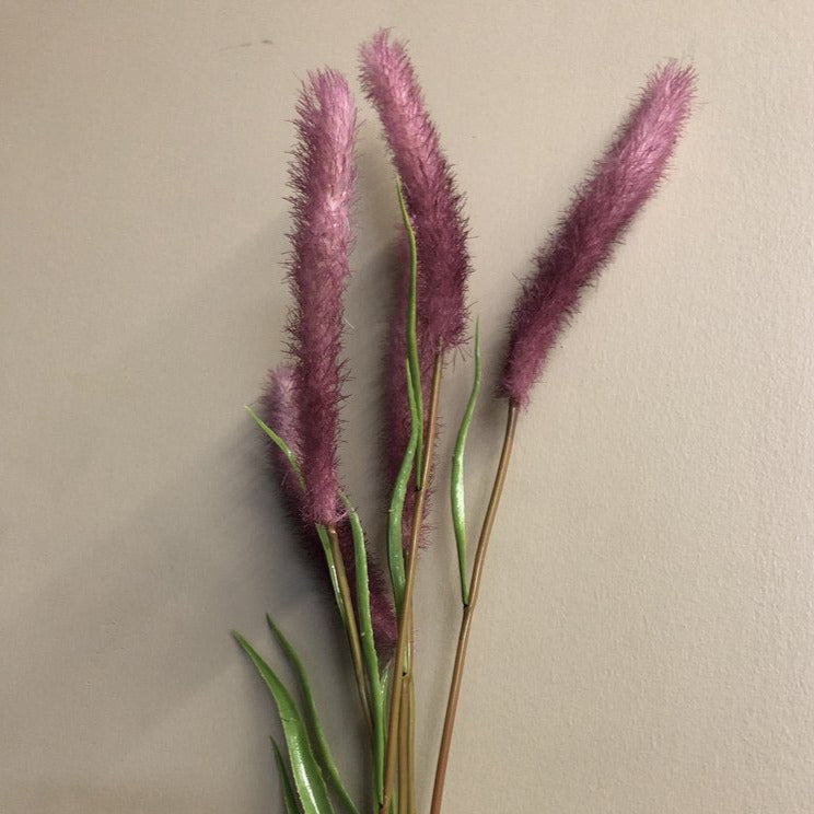 Red Jewel Ornamental Grass Seeds