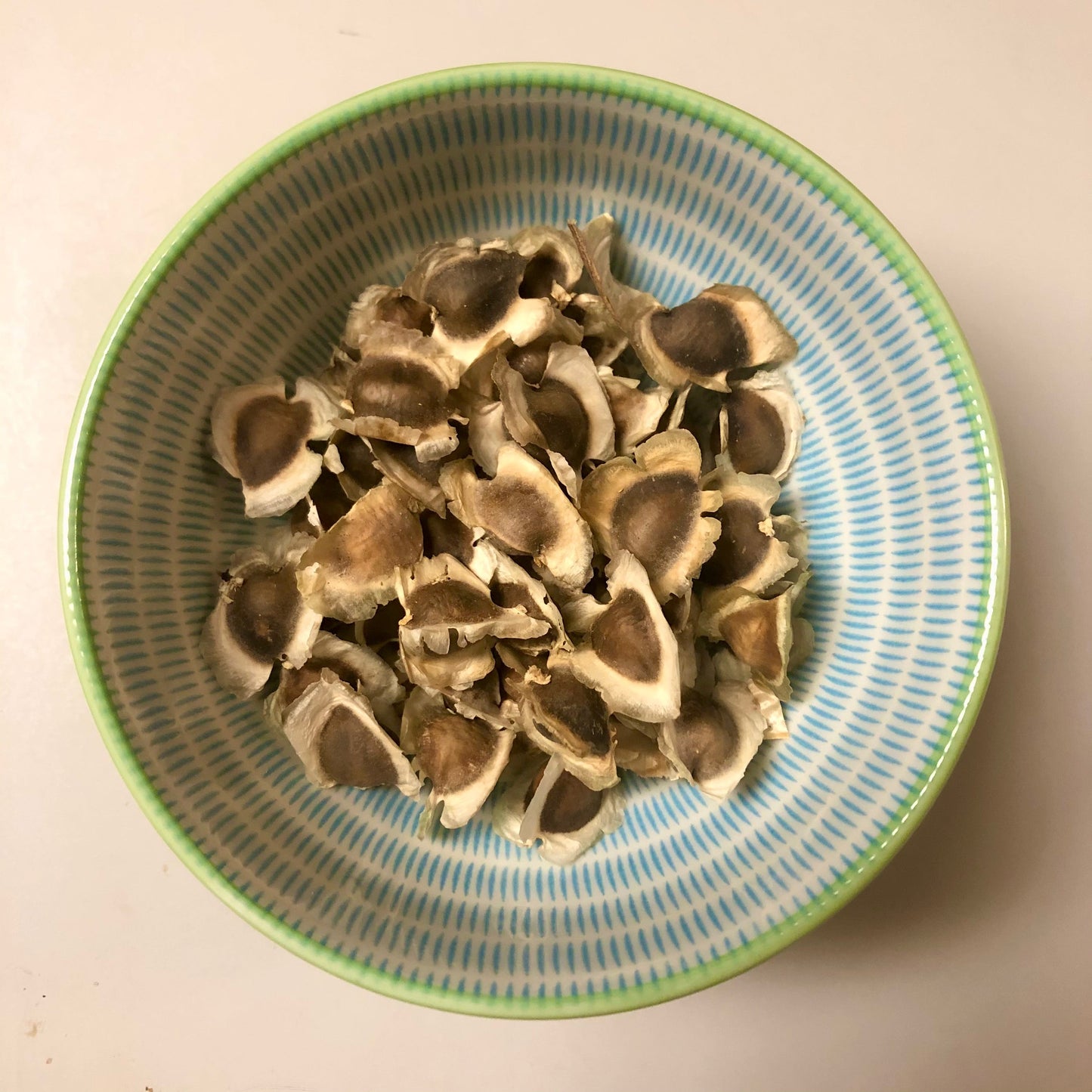 Moringa Drumstick Tree Seeds